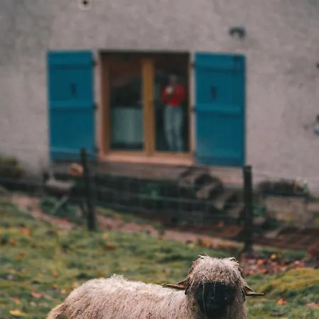 Tranquille A La Ferme Vosgienne Avec Parking - Fr-1-589-779 Lägenhet Sapois (Vosges)
