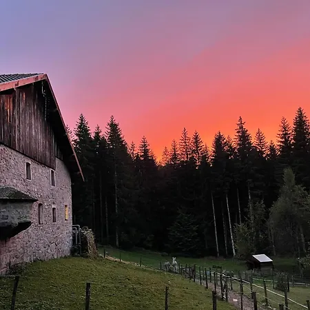 Tranquille A La Ferme Vosgienne Avec Parking - Fr-1-589-779 Sapois (Vosges)