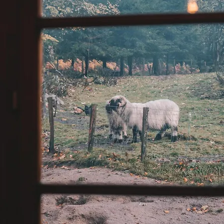 Lägenhet Tranquille A La Ferme Vosgienne Avec Parking - Fr-1-589-779 Sapois (Vosges)