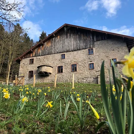 Lägenhet Tranquille A La Ferme Vosgienne Avec Parking - Fr-1-589-779 *
