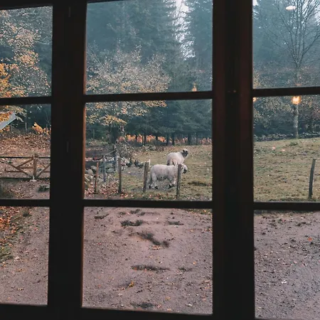 Tranquille A La Ferme Vosgienne Avec Parking - Fr-1-589-779 * Sapois (Vosges)